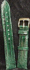 Green Accutron Spaceview Band